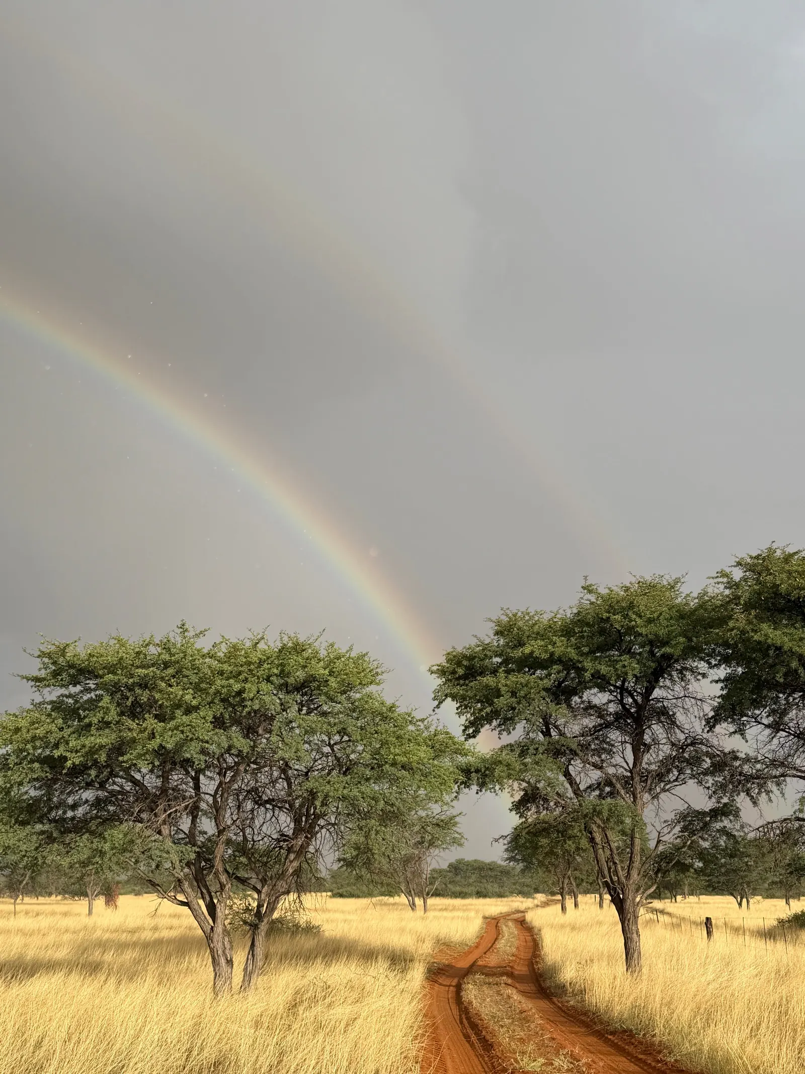 A rainbow over the red road and savanna at Zania farm